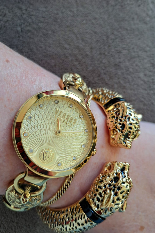 DZIKIE KOTY PILNUJĄ CZASU. MOŻNA SIĘ ZAPOMNIEĆ